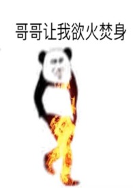 寡妇和光棍同居犯不犯法